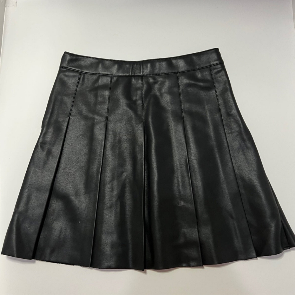 Zara skirt and shirt bundle